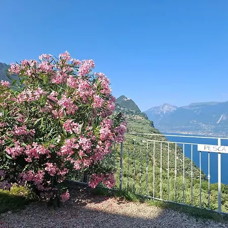 Vacanze Al Frutteto Appartamento